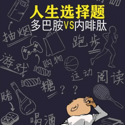 多巴胺与内啡肽，你选哪一个？